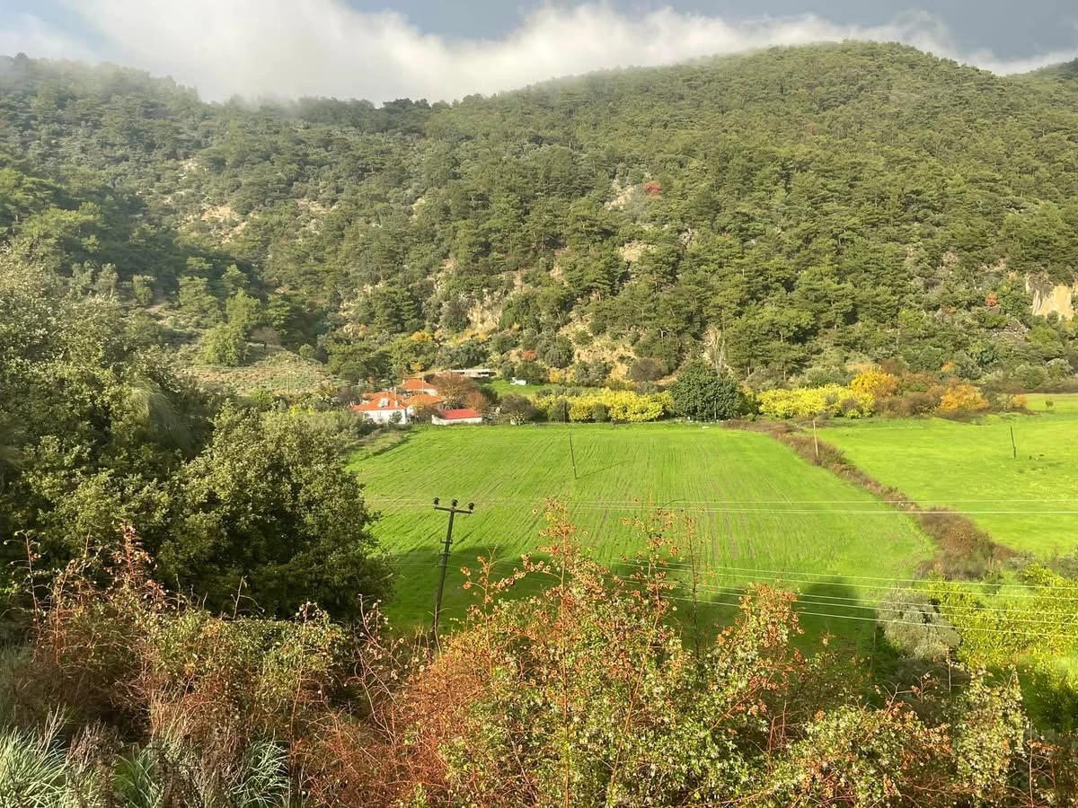 35.000 M² Ackerland Zum Verkauf In Çandır, Köyceğiz.