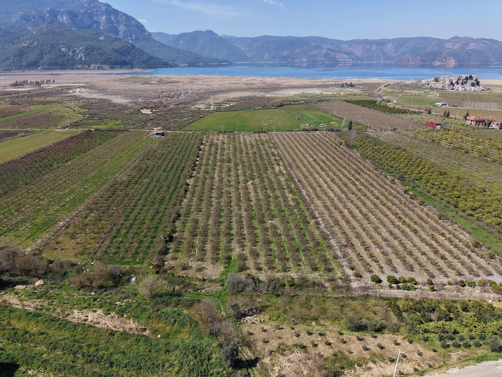16.710 M² Granatapfelgarten Zum Verkauf Mit Seeblick In Eskiköy