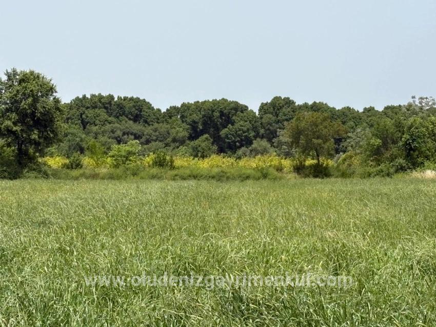 Land Zu verkaufen in Okçular Bz. Ortaca - Gehäuse-Zonierung - 2.100 m²