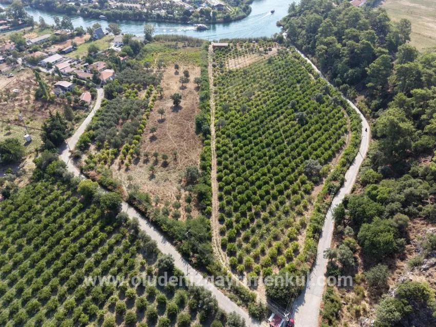 Feld Zu verkaufen in Çandır Bz. Köyceğiz - Feld-Zonierung - 20.000 m²