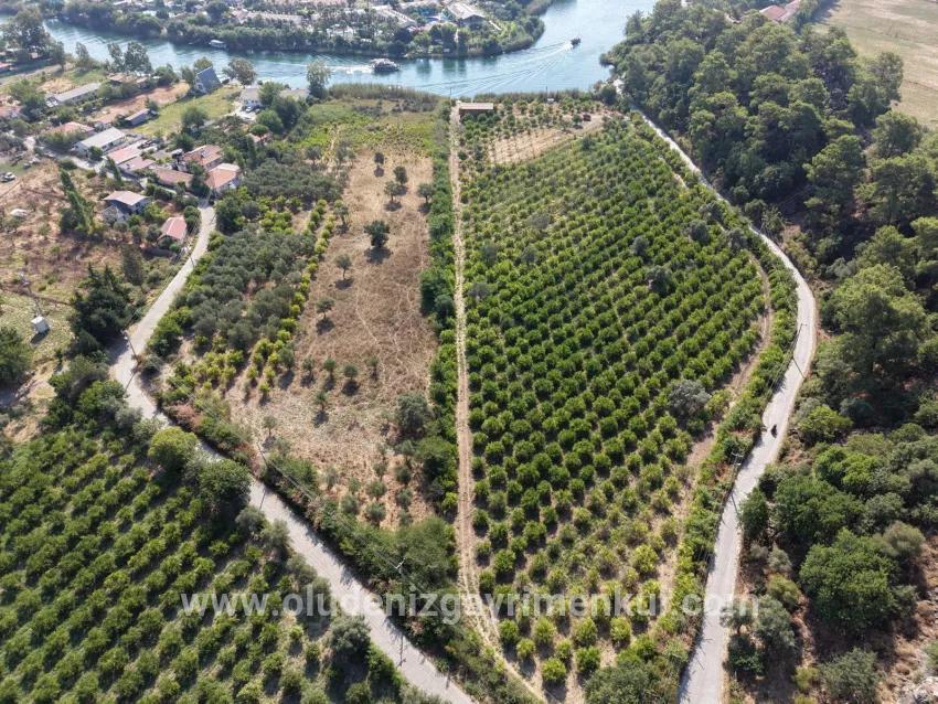 Im Köyceğiz Çandır Mahallesinde kanala sıfır 20.000m2 satılık Feld