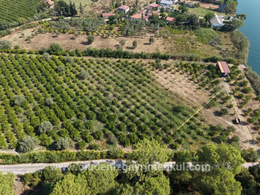 Im Köyceğiz Çandır Mahallesinde kanala sıfır 20.000m2 satılık Feld