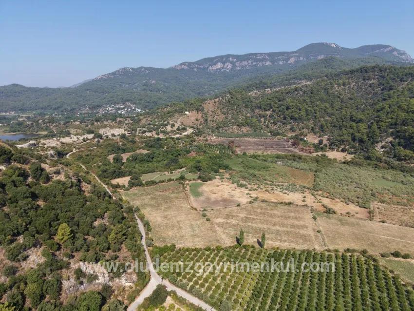 Im Köyceğiz Çandır Mahallesinde kanala sıfır 20.000m2 satılık Feld