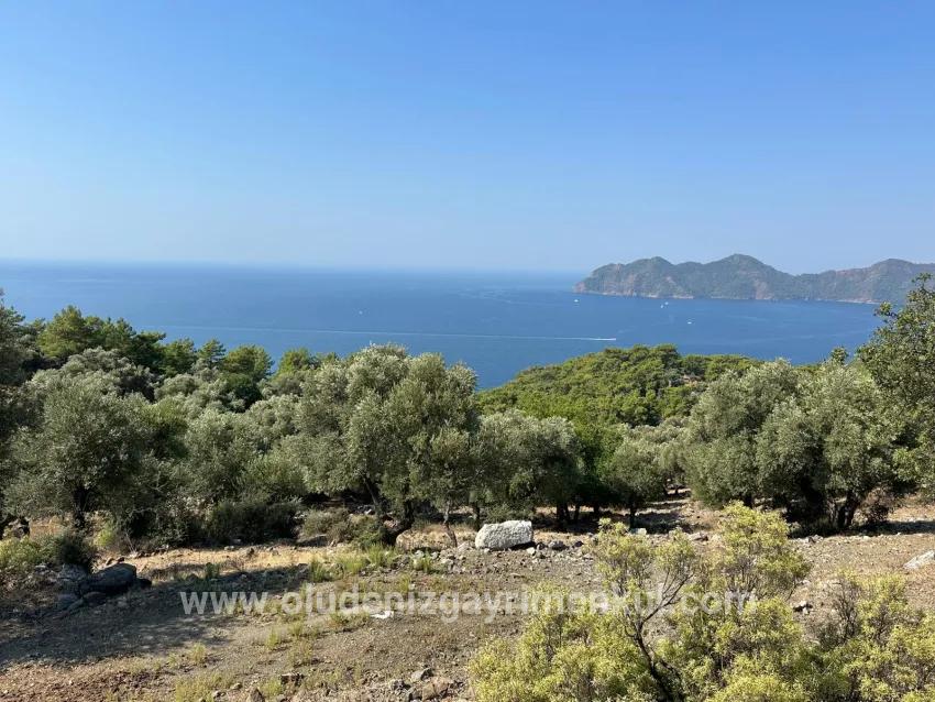 Feld Zu verkaufen in Çandır Bz. Köyceğiz - Feld-Zonierung - 21.000 m²