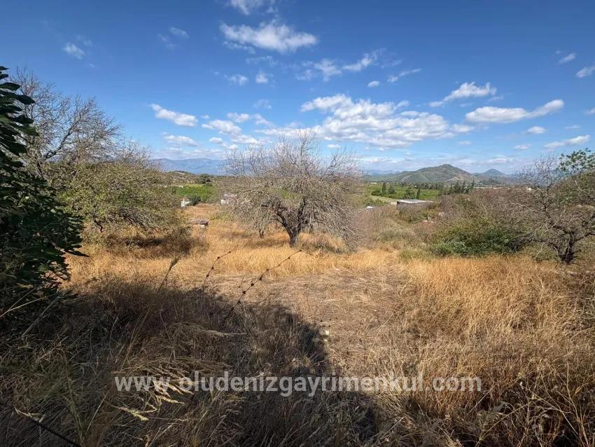 Feld Zu verkaufen in Dalyan Bz. Ortaca - Feld-Zonierung - 5.000 m²