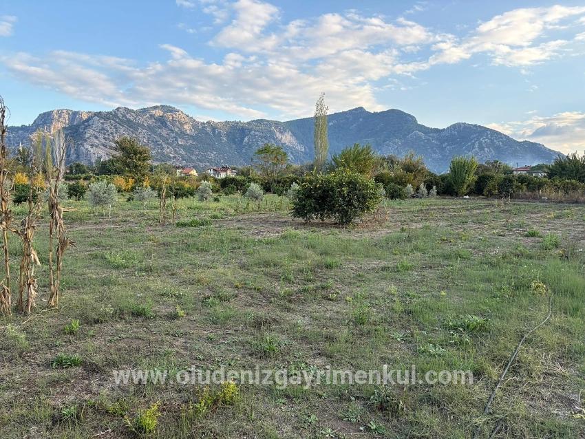 Land Zu verkaufen in Dalyan Bz. Ortaca - Gehäuse-Zonierung - 7.450 m²
