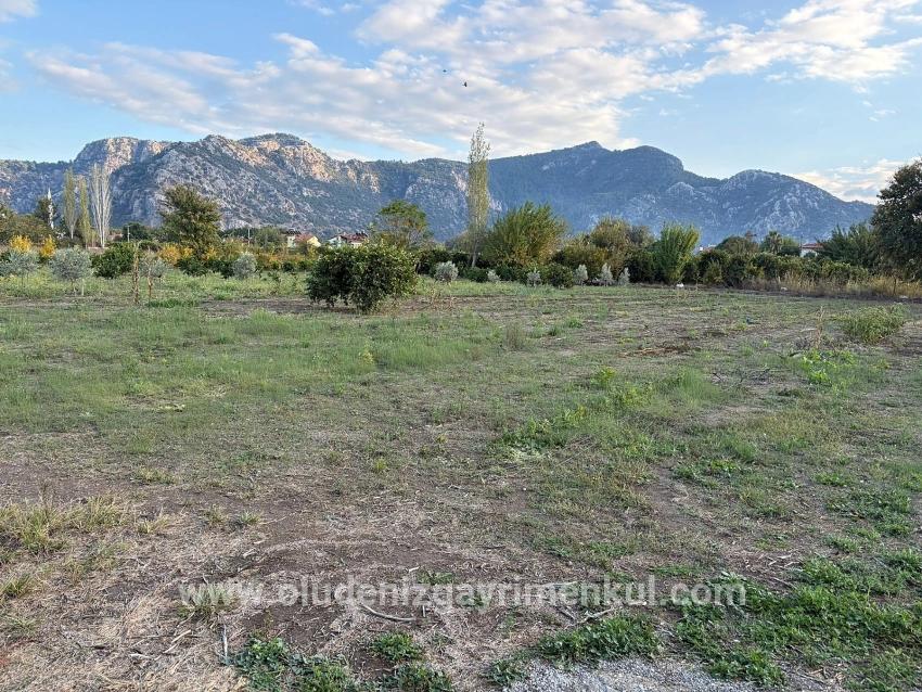 7.450 M² Großes Grundstück In Dalyan Mit 5%iger Zonierung Zu Verkaufen.