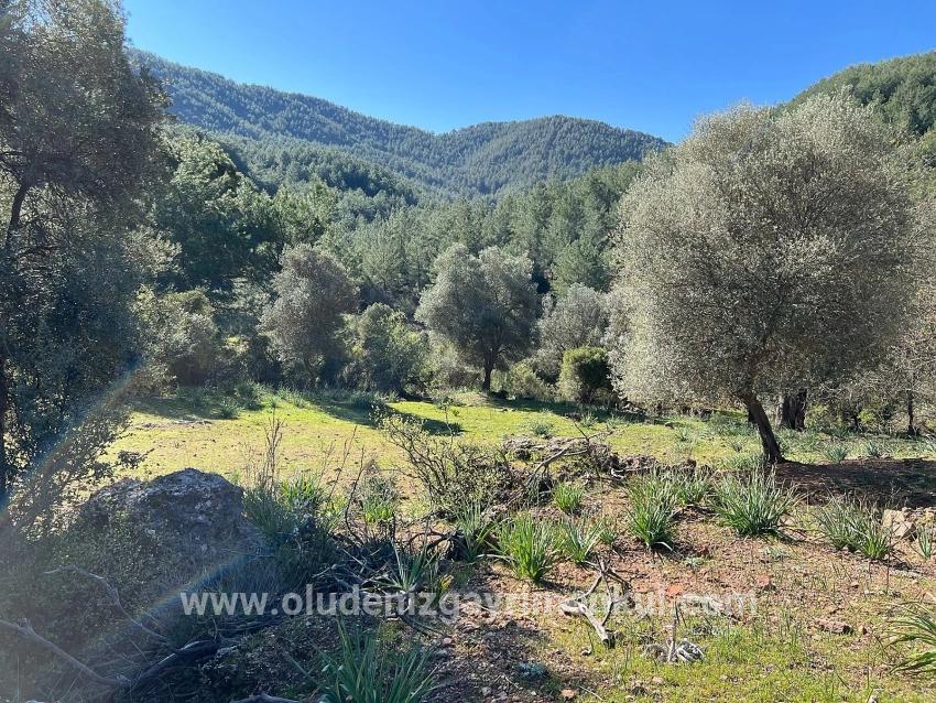 Feld Zu verkaufen in Gökbel Bz. Ortaca - Feld-Zonierung - 24.163 m²