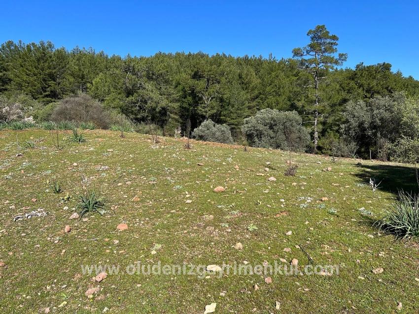 Feld Zu verkaufen in Gökbel Bz. Ortaca - Feld-Zonierung - 24.163 m²