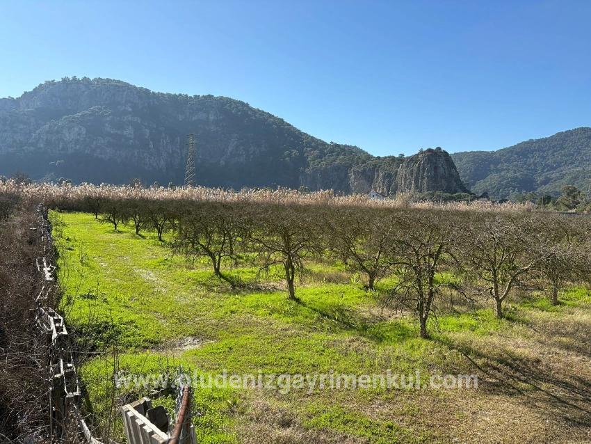 Land Zu verkaufen in Dalyan Bz. Ortaca - Gehäuse-Zonierung - 5.985 m²