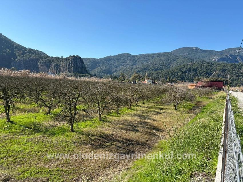Land Zu verkaufen in Dalyan Bz. Ortaca - Gehäuse-Zonierung - 5.985 m²