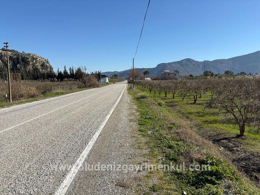 Land Zu verkaufen in Dalyan Bz. Ortaca - Gehäuse-Zonierung - 5.985 m²