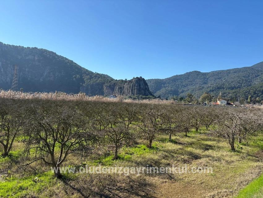 Land Zu verkaufen in Dalyan Bz. Ortaca - Gehäuse-Zonierung - 5.985 m²