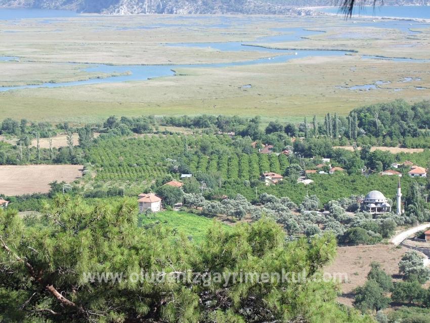 Feld Zu verkaufen in Çandır Bz. Köyceğiz - Feld-Zonierung - 19.334 m²