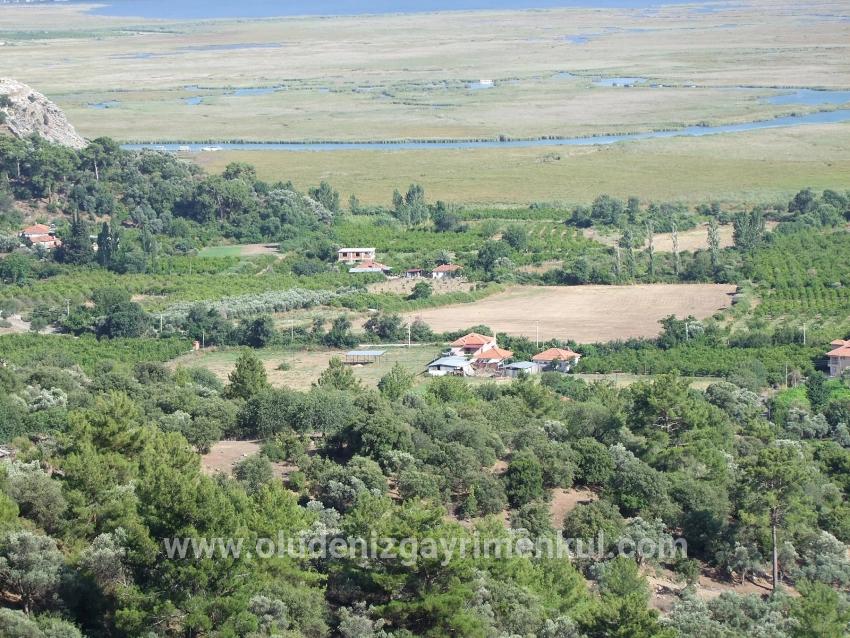 Feld Zu verkaufen in Çandır Bz. Köyceğiz - Feld-Zonierung - 19.334 m²