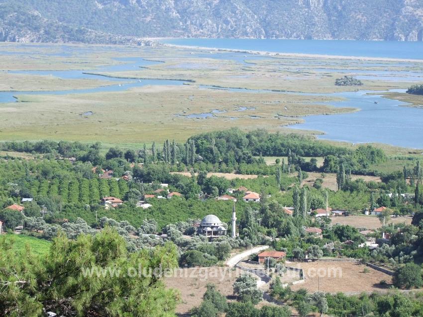Feld Zu verkaufen in Çandır Bz. Köyceğiz - Feld-Zonierung - 19.334 m²