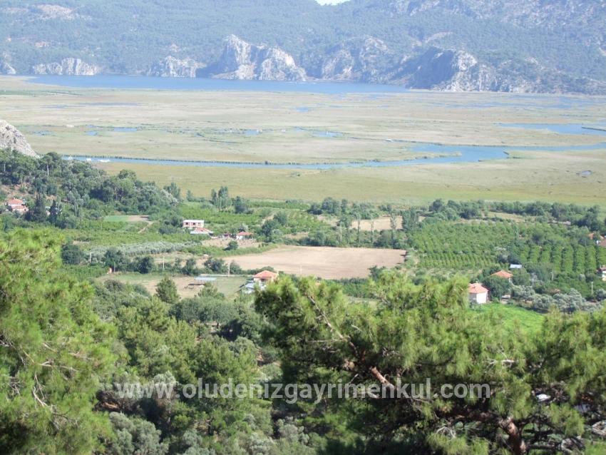 Feld Zu verkaufen in Çandır Bz. Köyceğiz - Feld-Zonierung - 19.334 m²