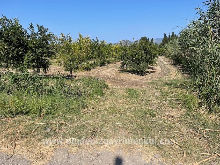 Feld Zu verkaufen in Dalyan Bz. Ortaca - Gehäuse-Zonierung - 10.000 m²