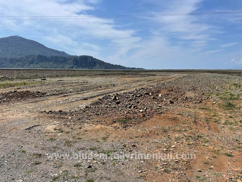 Feld Zu verkaufen in Dalyan Bz. Ortaca - Gehäuse-Zonierung - 19.600 m²