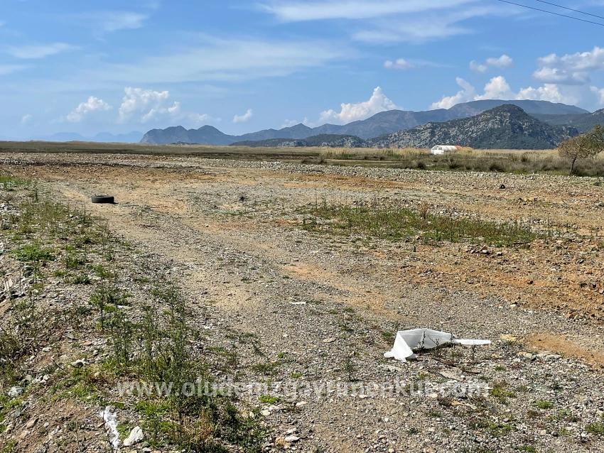 Feld Zu verkaufen in Dalyan Bz. Ortaca - Gehäuse-Zonierung - 19.600 m²