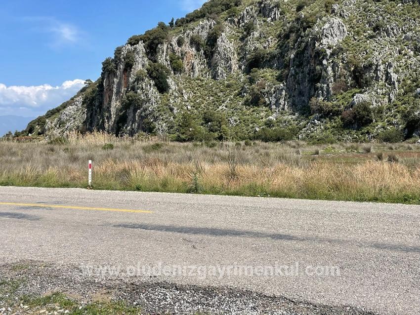Feld Zu verkaufen in Dalyan Bz. Ortaca - Gehäuse-Zonierung - 19.600 m²