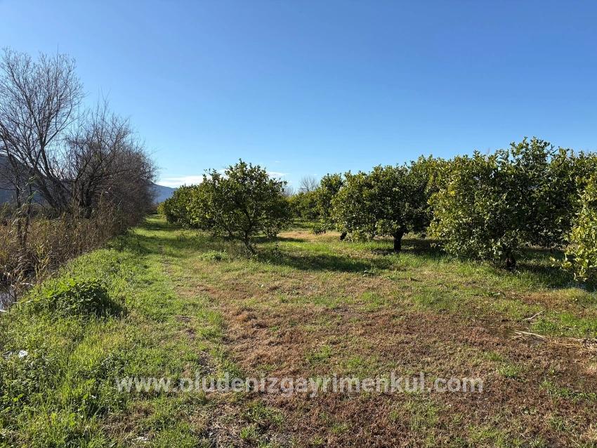 Feld Zu verkaufen in Dalyan Bz. Ortaca - Feld-Zonierung - 16.500 m²