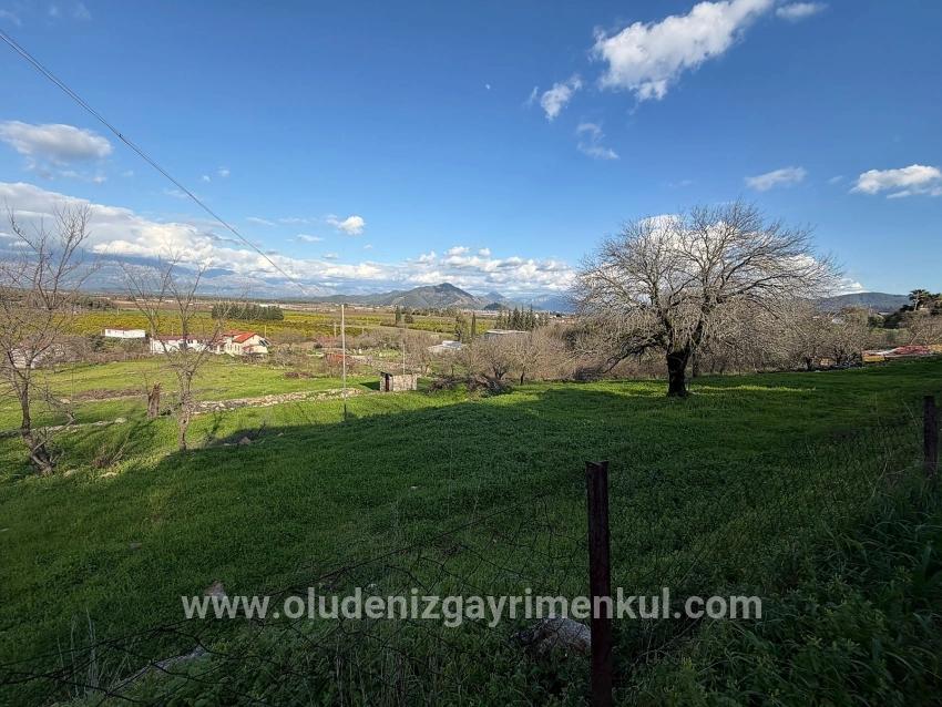 Feld Zu verkaufen in Dalyan Bz. Ortaca - Feld-Zonierung - 11.230 m²