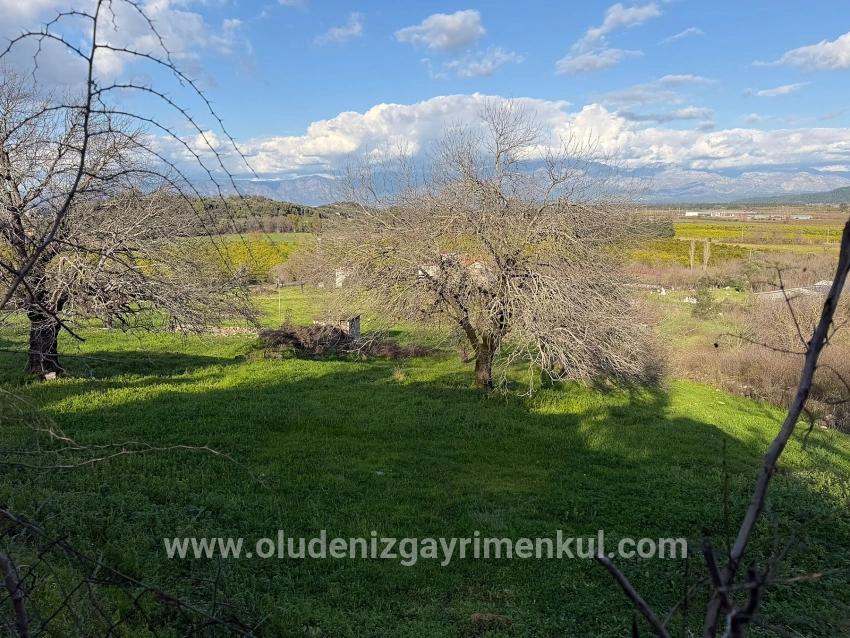 Feld Zu verkaufen in Dalyan Bz. Ortaca - Feld-Zonierung - 11.230 m²