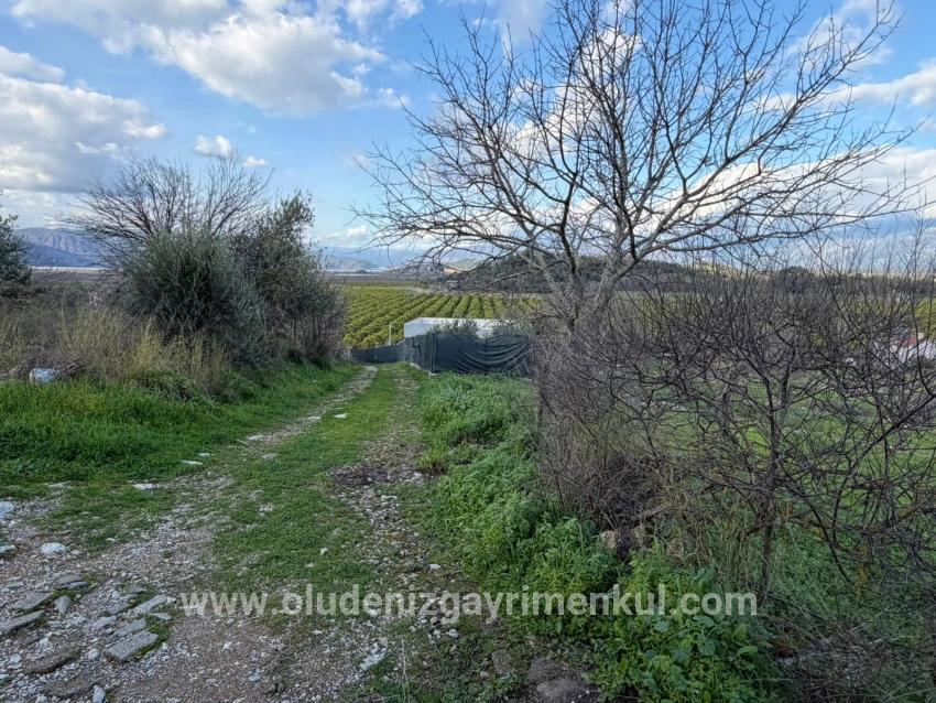 Feld Zu verkaufen in Dalyan Bz. Ortaca - Feld-Zonierung - 11.230 m²