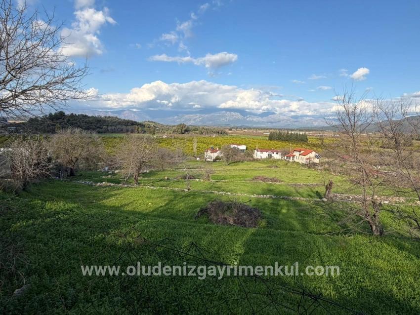 Feld Zu verkaufen in Dalyan Bz. Ortaca - Feld-Zonierung - 11.230 m²