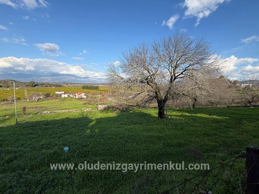 Feld Zu verkaufen in Dalyan Bz. Ortaca - Feld-Zonierung - 11.230 m²