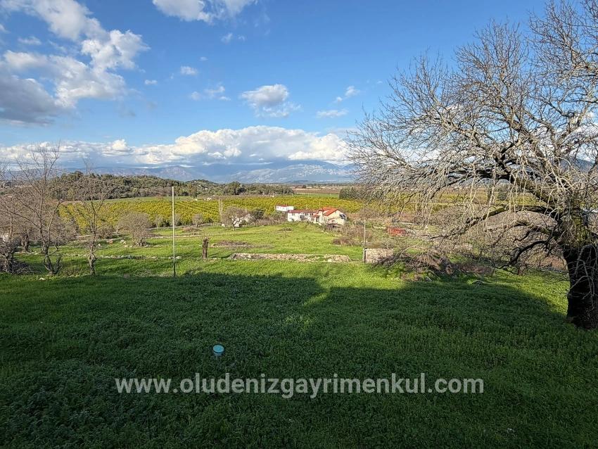 Feld Zu verkaufen in Dalyan Bz. Ortaca - Feld-Zonierung - 11.230 m²