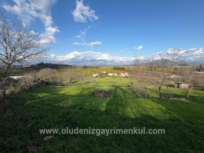 Feld Zu verkaufen in Dalyan Bz. Ortaca - Feld-Zonierung - 11.230 m²