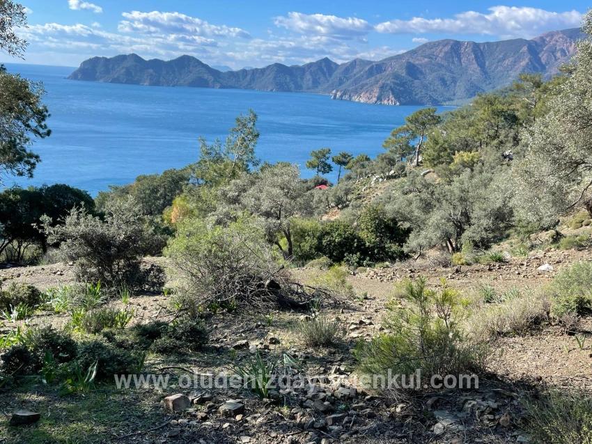 Feld Zu verkaufen in Çandır Bz. Köyceğiz - Feld-Zonierung - 20.000 m²