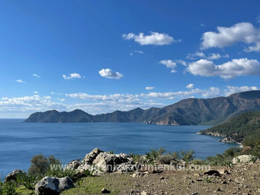 Feld Zu verkaufen in Çandır Bz. Köyceğiz - Feld-Zonierung - 20.000 m²