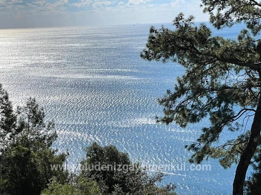 Feld Zu verkaufen in Çandır Bz. Köyceğiz - Feld-Zonierung - 20.000 m²
