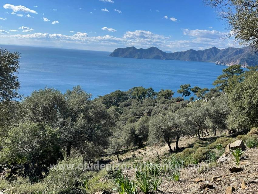 Feld Zu verkaufen in Çandır Bz. Köyceğiz - Feld-Zonierung - 20.000 m²