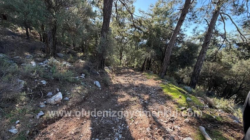 Feld Zu verkaufen in Çandır Bz. Köyceğiz - Gehäuse-Zonierung - 5.715 m²