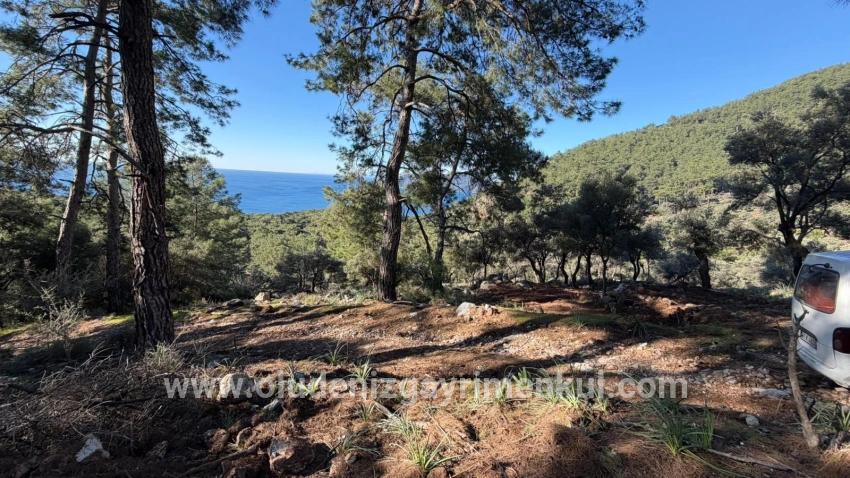 Feld Zu verkaufen in Çandır Bz. Köyceğiz - Gehäuse-Zonierung - 5.715 m²