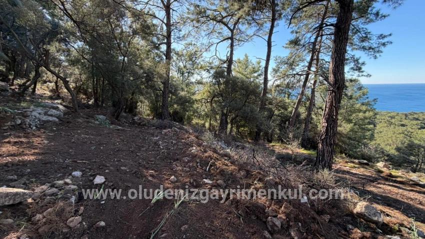 Feld Zu verkaufen in Çandır Bz. Köyceğiz - Gehäuse-Zonierung - 5.715 m²