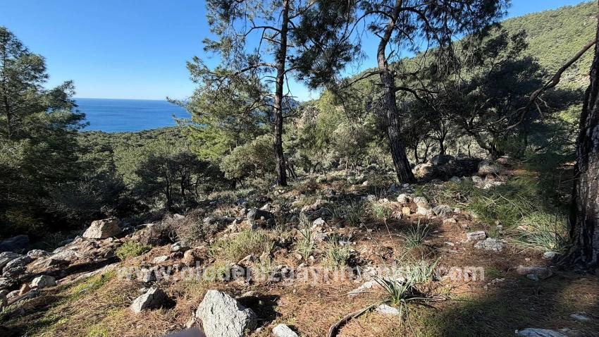 Feld Zu verkaufen in Çandır Bz. Köyceğiz - Gehäuse-Zonierung - 5.715 m²