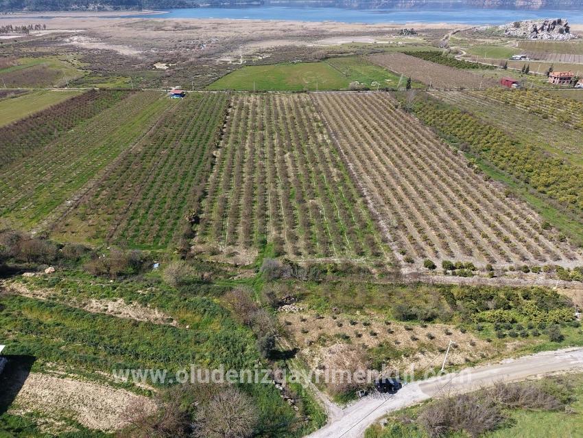 Feld Zu verkaufen in Eskiköy Bz. Ortaca - Feld-Zonierung - 16.710 m²