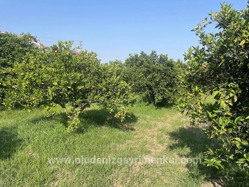 Land Zu verkaufen in Dalyan Bz. Ortaca - Gehäuse-Zonierung - 722 m²