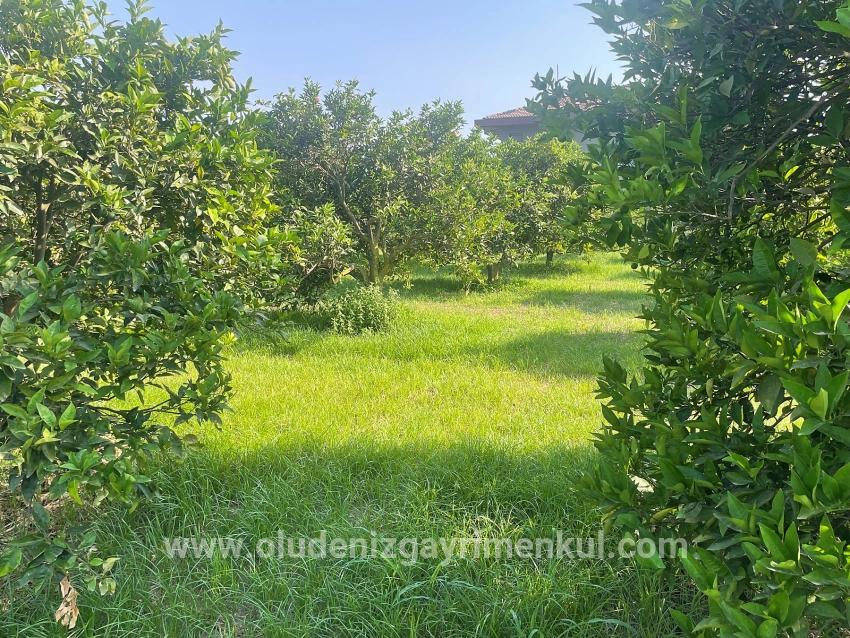 Land Zu verkaufen in Dalyan Bz. Ortaca - Gehäuse-Zonierung - 722 m²