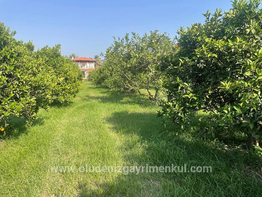 Land Zu verkaufen in Dalyan Bz. Ortaca - Gehäuse-Zonierung - 722 m²