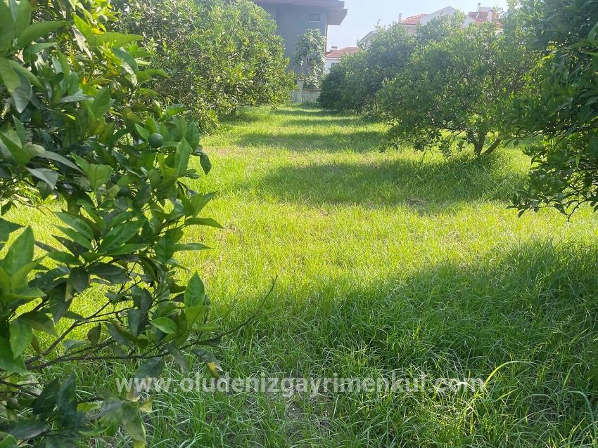 Land Zu verkaufen in Dalyan Bz. Ortaca - Gehäuse-Zonierung - 722 m²