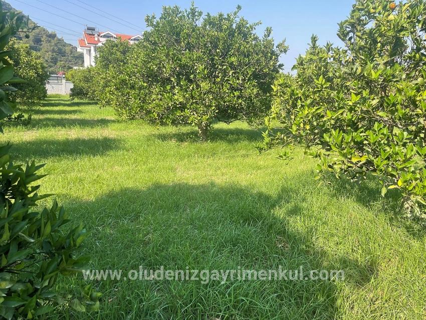 Land Zu verkaufen in Dalyan Bz. Ortaca - Gehäuse-Zonierung - 722 m²