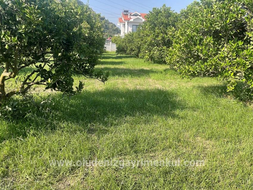 Land Zu verkaufen in Dalyan Bz. Ortaca - Gehäuse-Zonierung - 722 m²