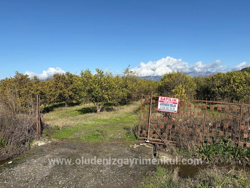 Feld Zu verkaufen in Tepearası Bz. Ortaca - Weinberg & garten-Zonierung - 23.000 m²