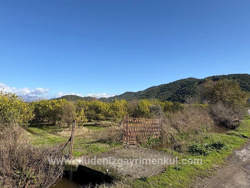 Feld Zu verkaufen in Tepearası Bz. Ortaca - Weinberg & garten-Zonierung - 23.000 m²